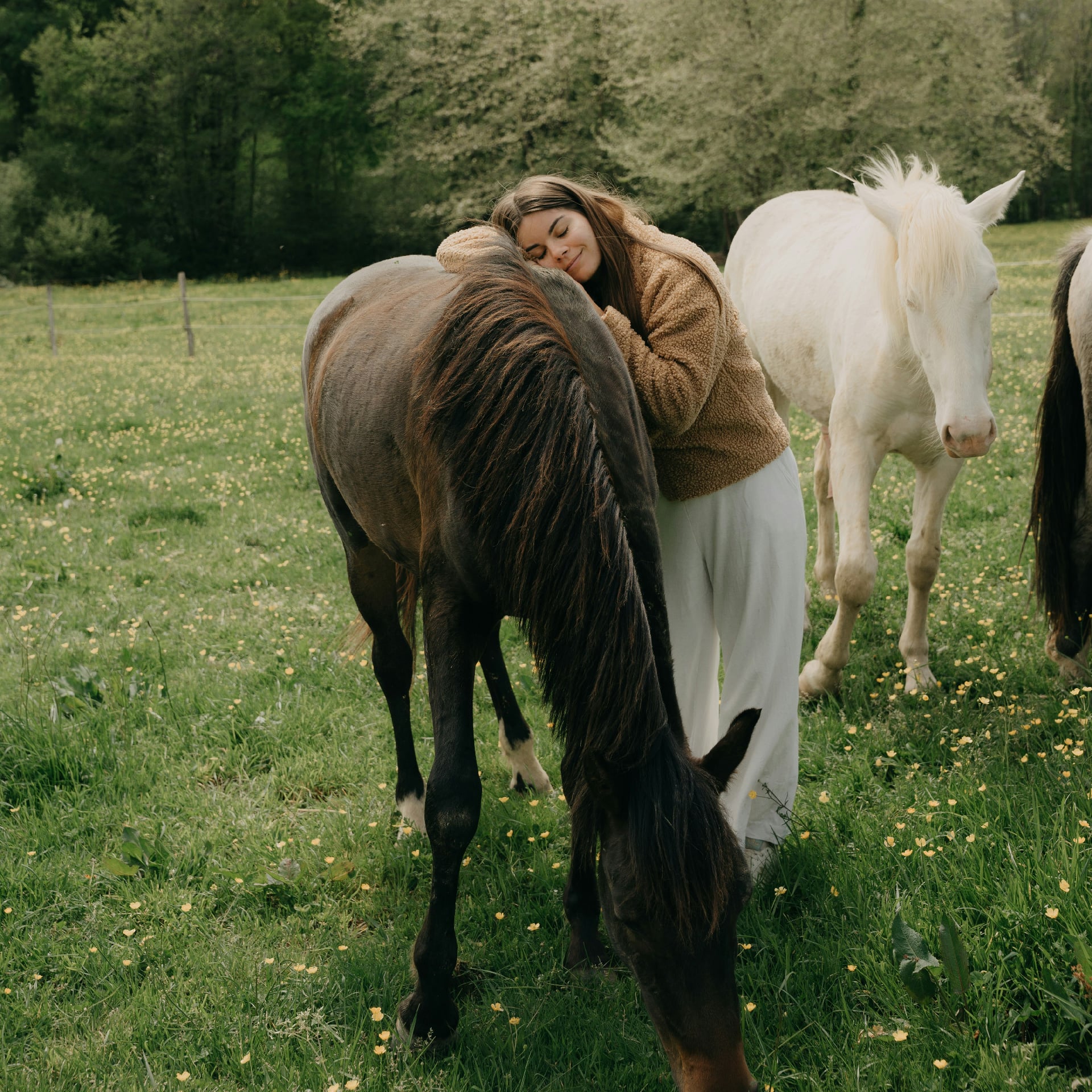 Horse therapy